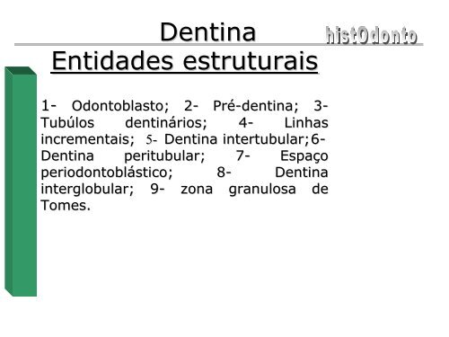 Dentina - CCS