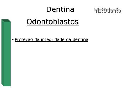 Dentina - CCS