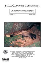 Download PDF - Small Carnivore Conservation