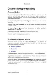 Organos retroperitoneales.pdf - VeoApuntes.com