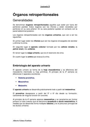 Organos retroperitoneales.pdf - VeoApuntes.com