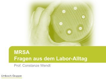 MRSA Fragen aus dem Labor-Alltag - GeQiK