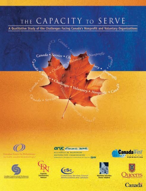 The Capacity to Serve.pdf - Imagine Canada