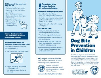 Dog Bite Prevention in Children - The University of Tennessee ...