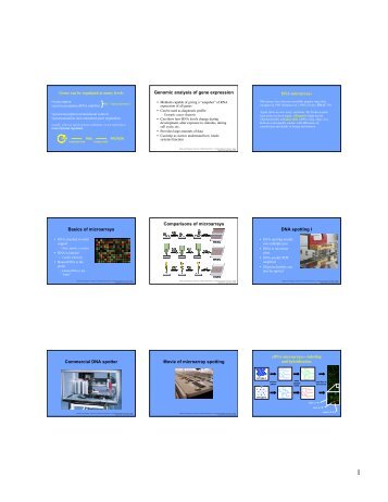 Genomic analysis of gene expression Basics of ... - Halfon Lab