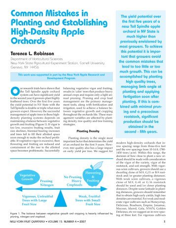 Planting and Establishing High Density Apple Orchards