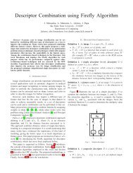 Descriptor Combination using Firefly Algorithm - Iris.sel.eesc.sc.usp.br