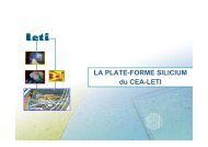 LA PLATE-FORME SILICIUM du CEA-LETI - RTB - CNRS