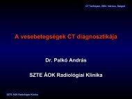 A vesebetegsÃ©gek CT diagnosztikÃ¡ja