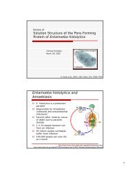 Entamoeba histolytica and Amoebiasis