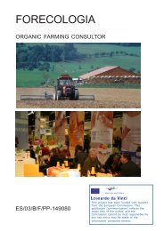 Organic farming consultor - Projects - Ifes
