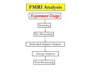 FMRI Analysis Experiment Design