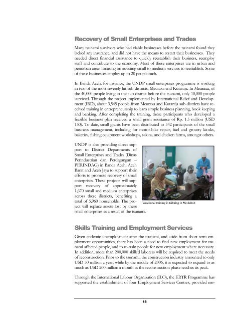 Aceh Emergency Response and Transitional Recovery ... - UNDP