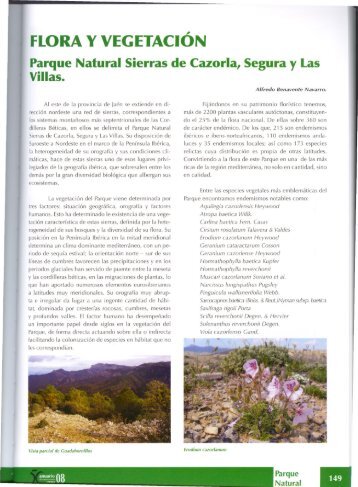FLORA Y VEGETACION Parque Natural Sierras de Cazorla, Segura ...