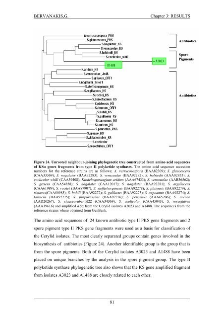 Detection and Expression of Biosynthetic Genes in Actinobacteria ...