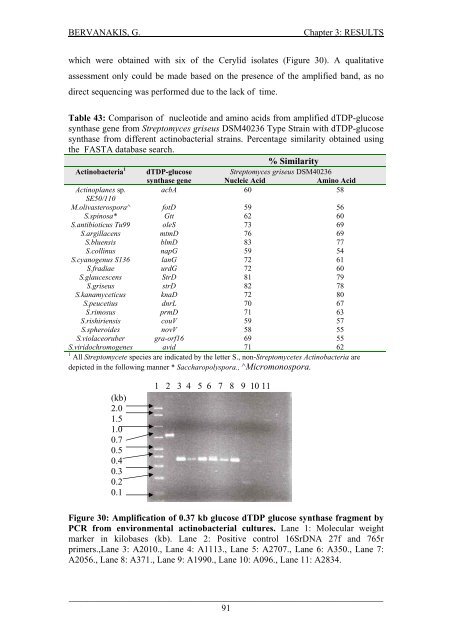 Detection and Expression of Biosynthetic Genes in Actinobacteria ...