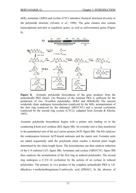 Detection and Expression of Biosynthetic Genes in Actinobacteria ...