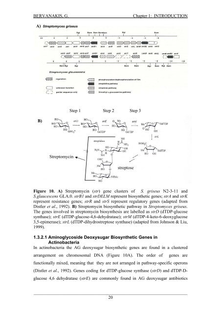 Detection and Expression of Biosynthetic Genes in Actinobacteria ...