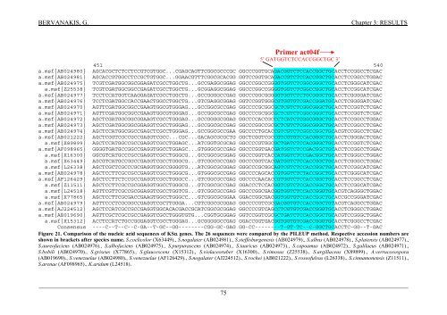 Detection and Expression of Biosynthetic Genes in Actinobacteria ...