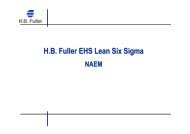 H.B. Fuller EHS Lean Six Sigma - NAEM