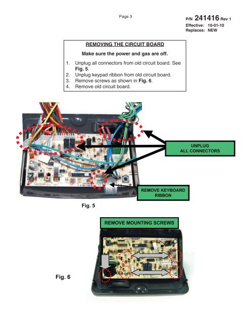 RAYPAK REPLACEMENT INSTRUCTIONS - Pool Supply Unlimited