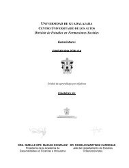 Finanzas VIII - Centro Universitario de los Altos - Universidad de ...