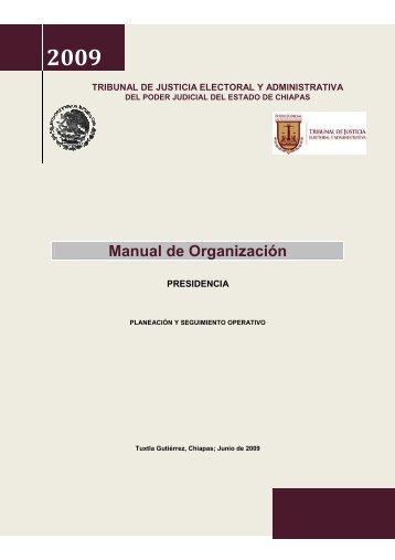 Manual de Organizacion. - Transparencia - Poder Judicial del ...
