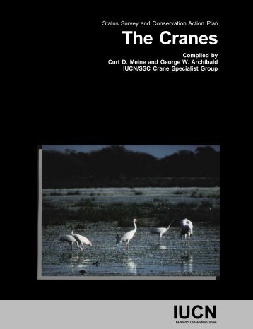 The Cranes IUCN