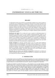 enfermedad vesicular porcina - Oficina Regional de la FAO para ...