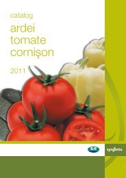 Catalog Syngenta seminte ardei, tomate, cornison - ecoplant.ro