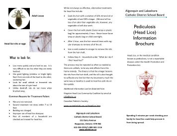 Pediculosis (Head Lice) Information Brochure - Algonquin and ...