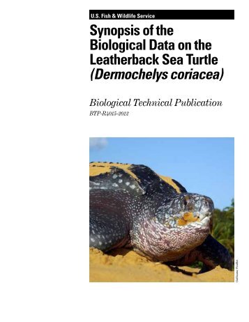 Synopsis of the Biological Data on the Leatherback Sea Turtle ...