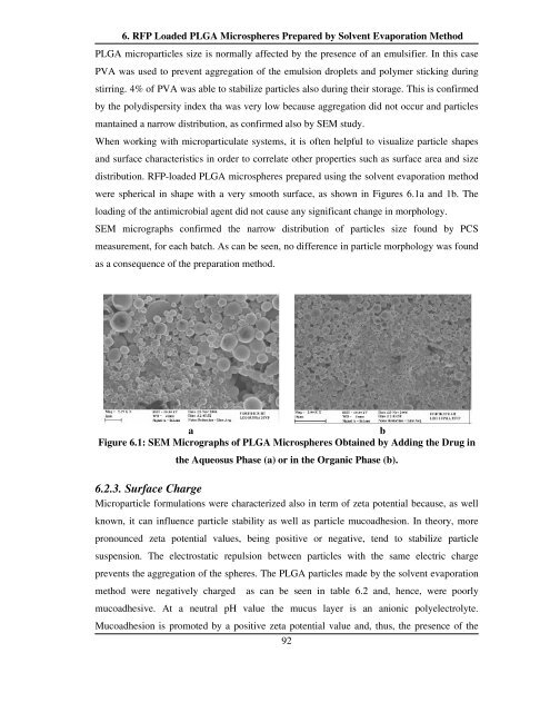 chitosan and plga microspheres as drug delivery ... - UniCA Eprints