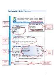 Explicación de la Factura - Emasesa