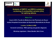 Analysis of BRCA and HNPCC mutations