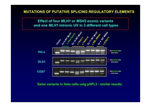 Analysis of BRCA and HNPCC mutations