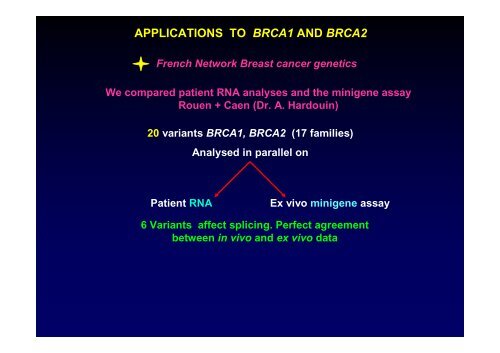Analysis of BRCA and HNPCC mutations