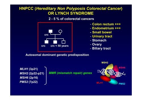 Analysis of BRCA and HNPCC mutations