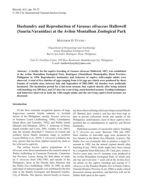Husbandry and Reproduction of Varanus olivaceus Hallowell ...