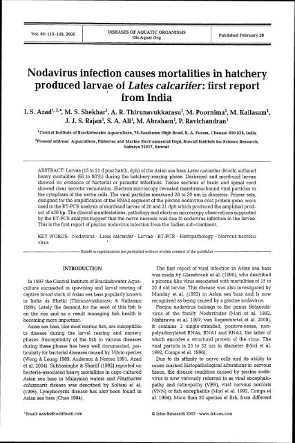 Nodavirus infection causes mortalities in hatchery produced larvae ...