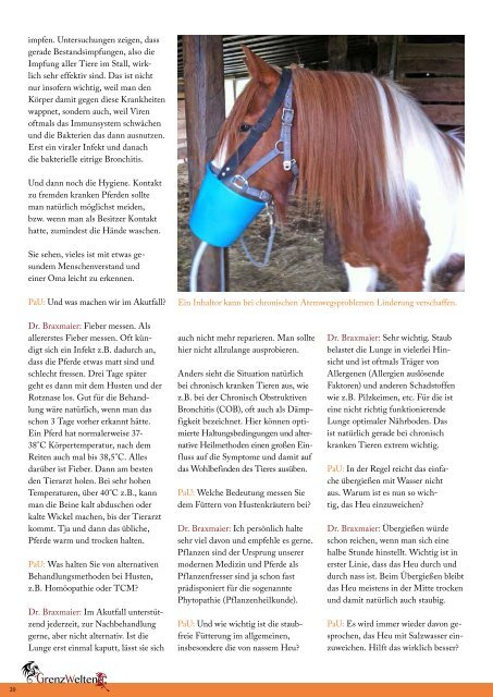 Ausgabe 11-12/2013 als PDF - Pferdewelten - Das Magazin