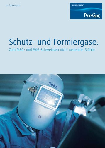 Schutz- und Formiergase. - PanGas