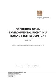 Definition of an Environmental Right in a Human Rights Context