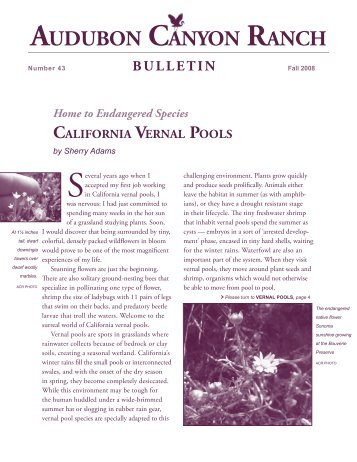 Fall Bulletin 2008 (788k PDF) - Audubon Canyon Ranch
