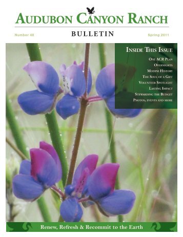 ACR Bulletin Spring 2011 - Audubon Canyon Ranch