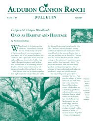 Fall Bulletin 2007 (800k PDF) - Audubon Canyon Ranch