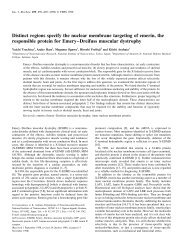 Distinct regions specify the nuclear membrane targeting of emerin ...