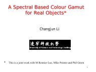 A Spectral Based Colour Gamut for Real Objects