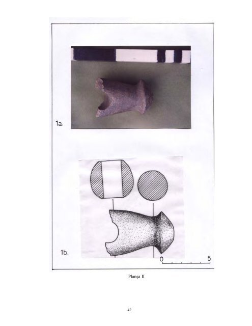 Două topoare de piatră din judeţul Sălaj - Muzeul Judeţean Mureş