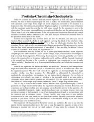 Protista-Chromista-Rhodophyta - Home Page for Ross Koning